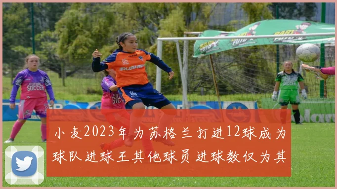 小麦2023年为苏格兰打进12球成为球队进球王其他球员进球数仅为其一半