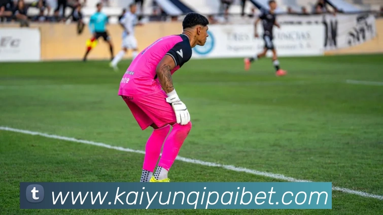 开云棋牌APP 封面图